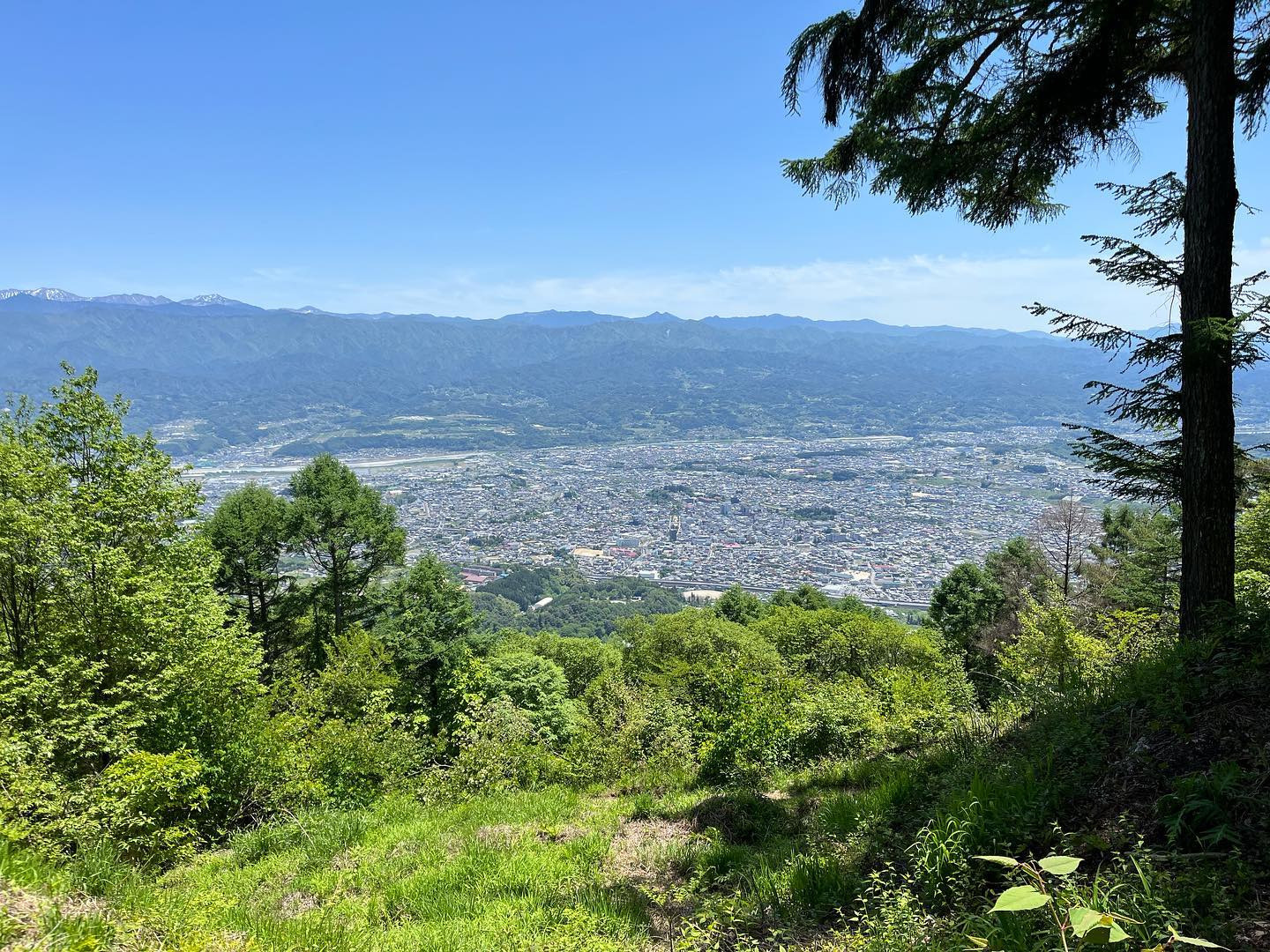 天気が良いと心も晴れやか