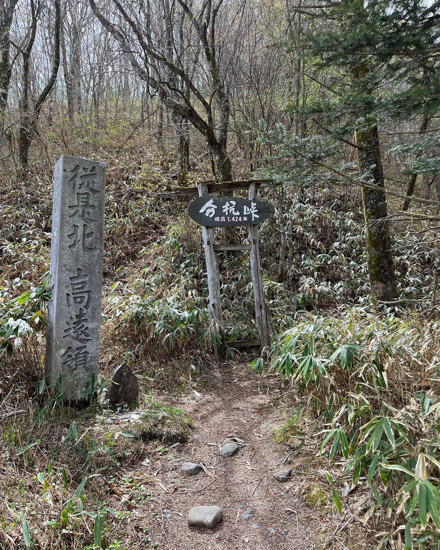 時々人生は大変な山を登らせるけど、それは新しい景色を私たちに...