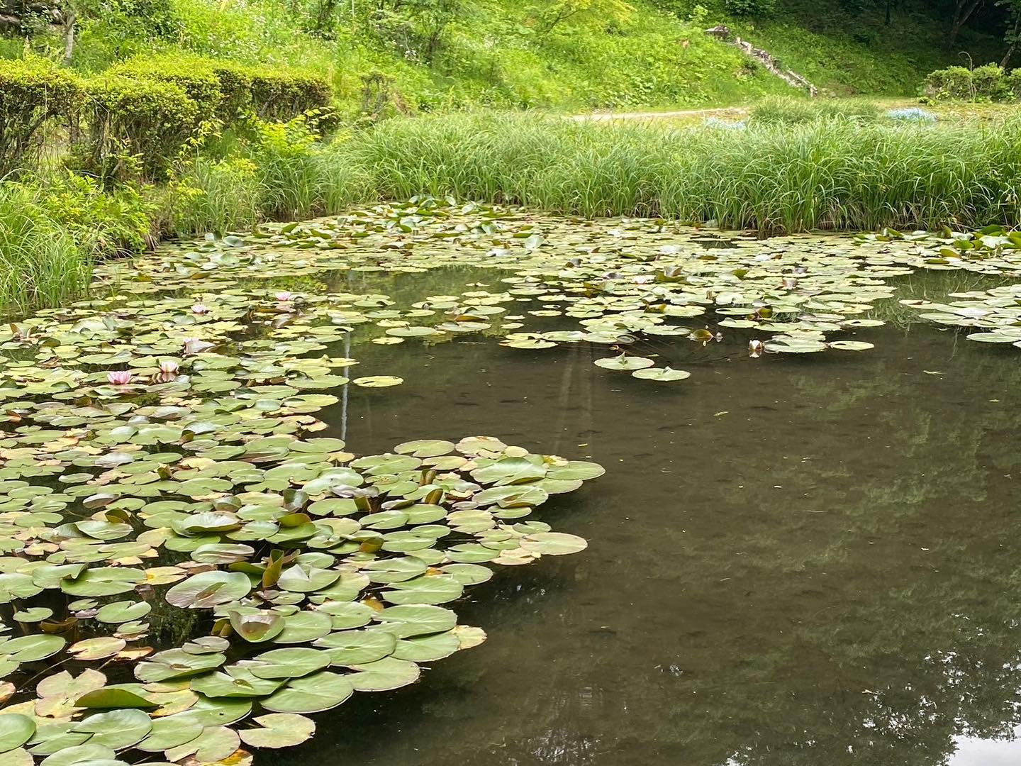 日々の忙しさに追われて、心の中までごちゃごちゃになっちゃいま...