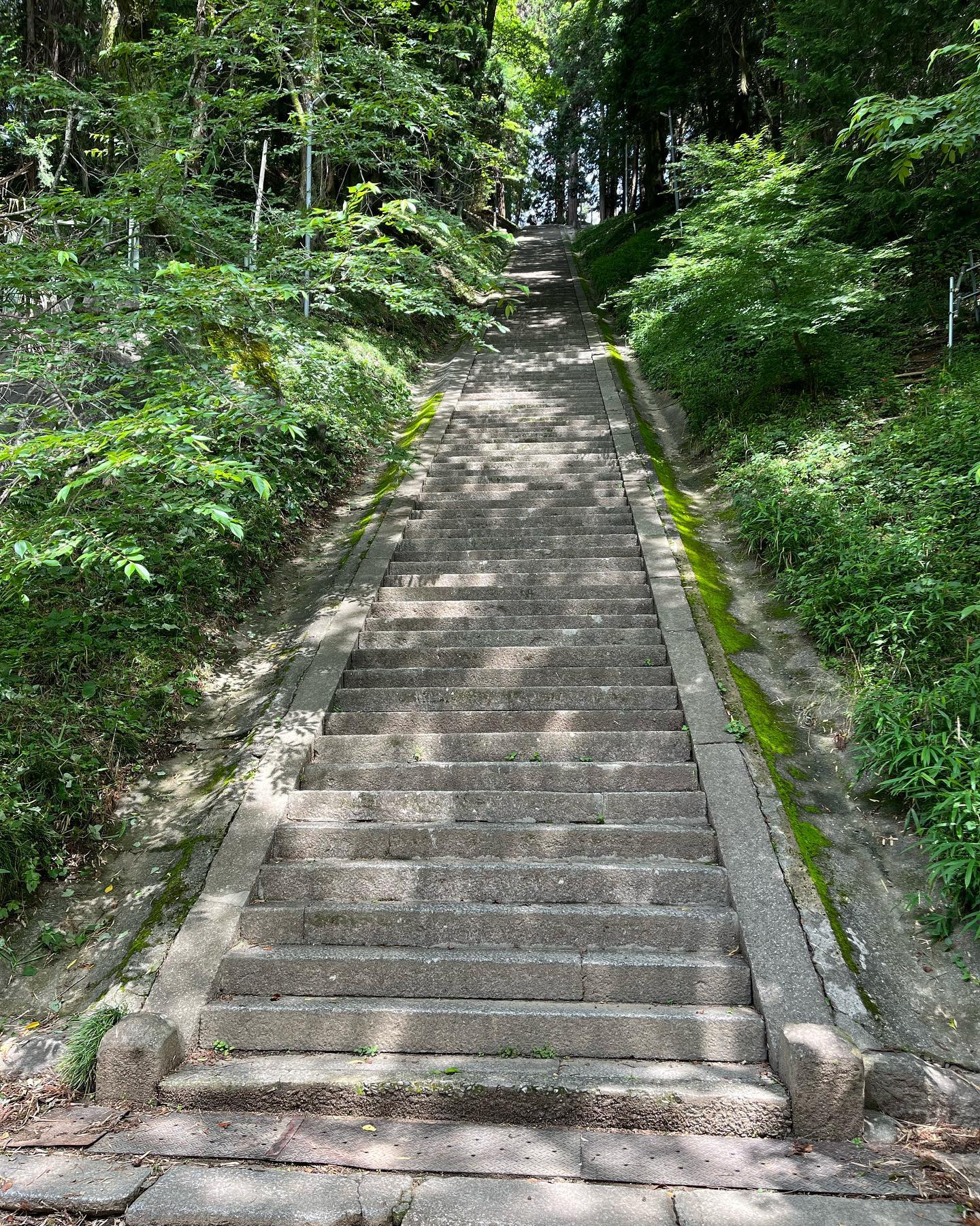 今日は少しでも心が軽くなるように、みなさんにエールを送ります...