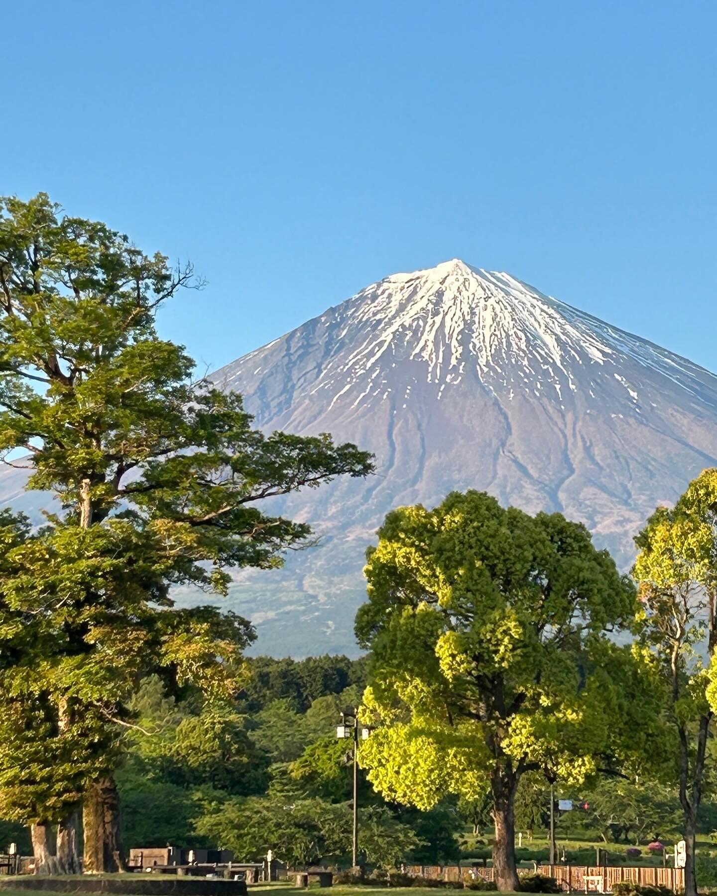 言わずと知れた富士山です🏔️